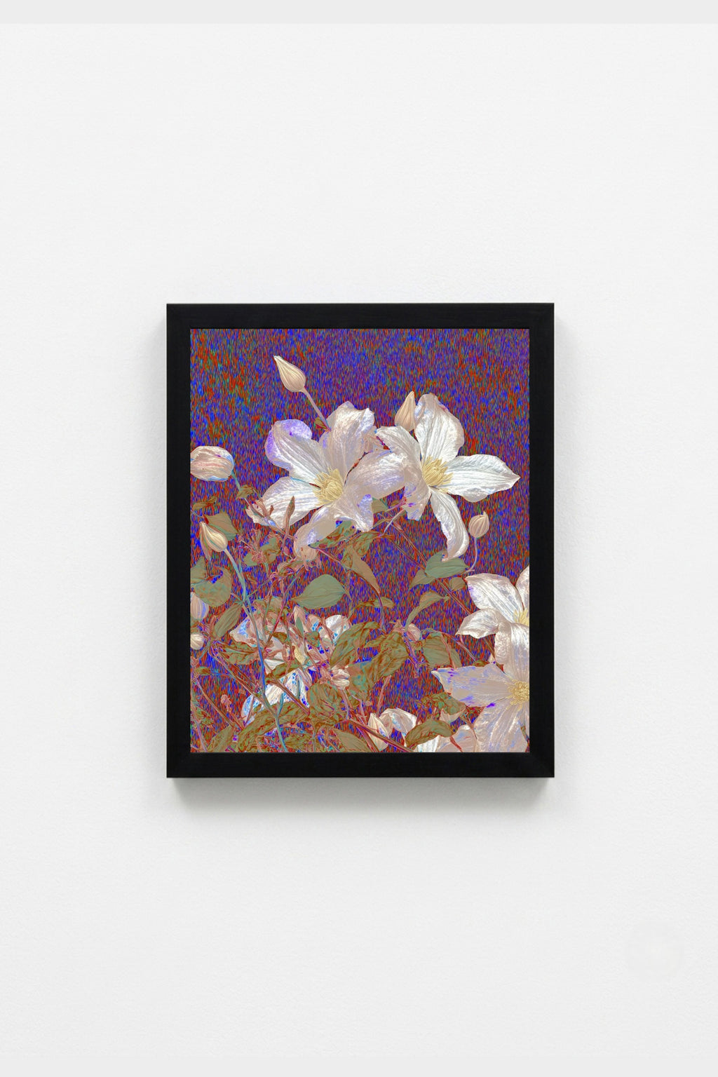 Mauve Bloom
