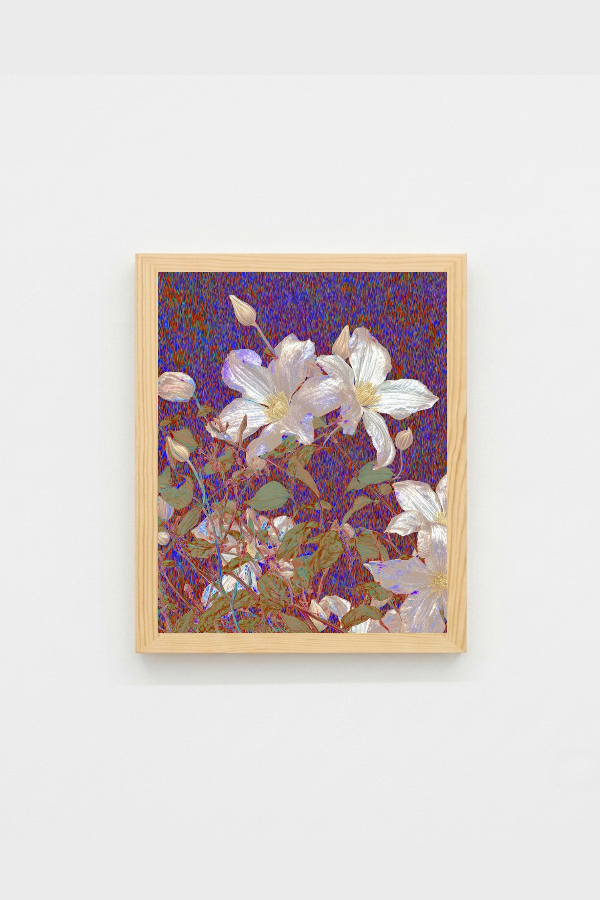 Mauve Bloom