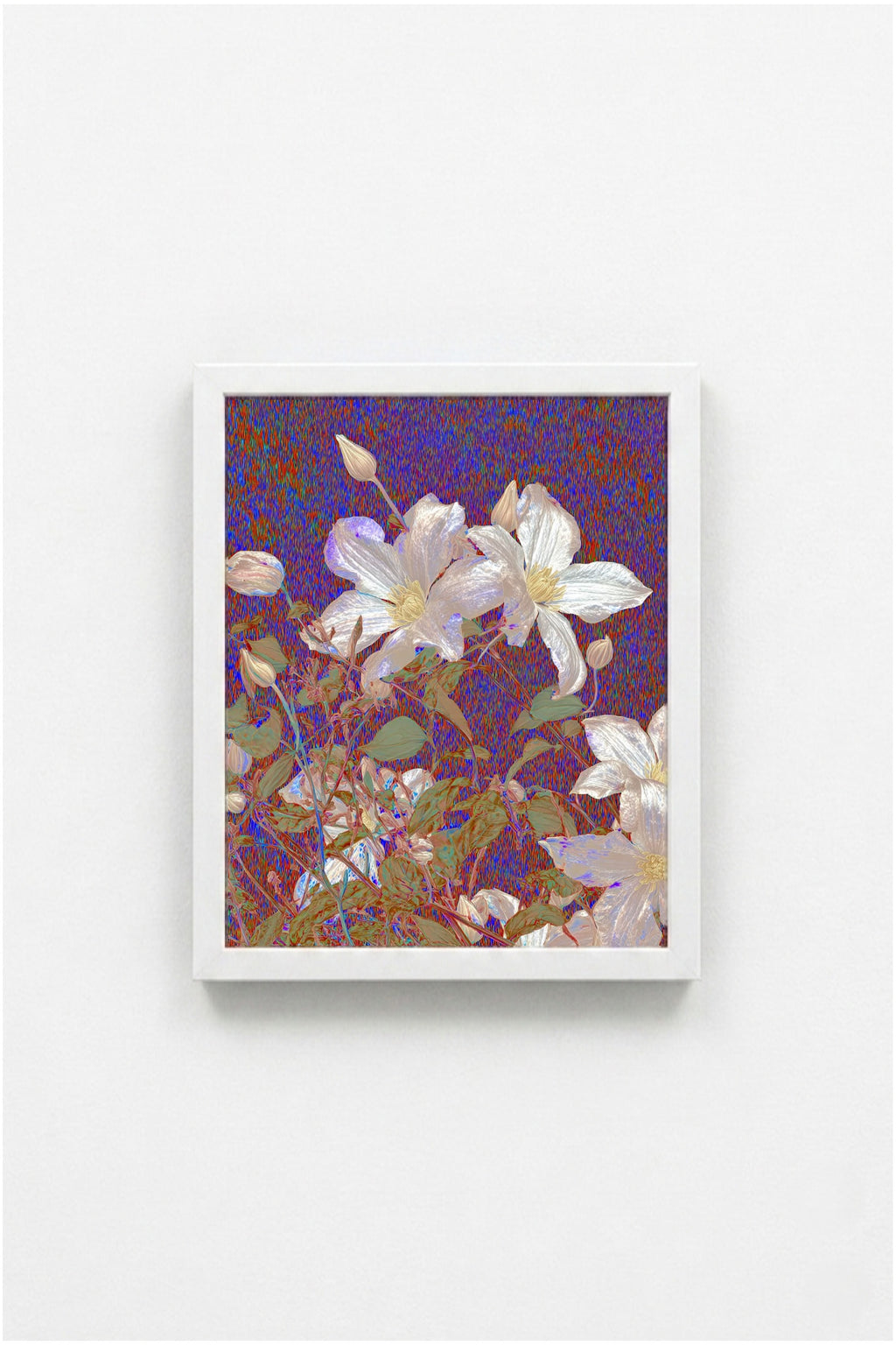 Mauve Bloom