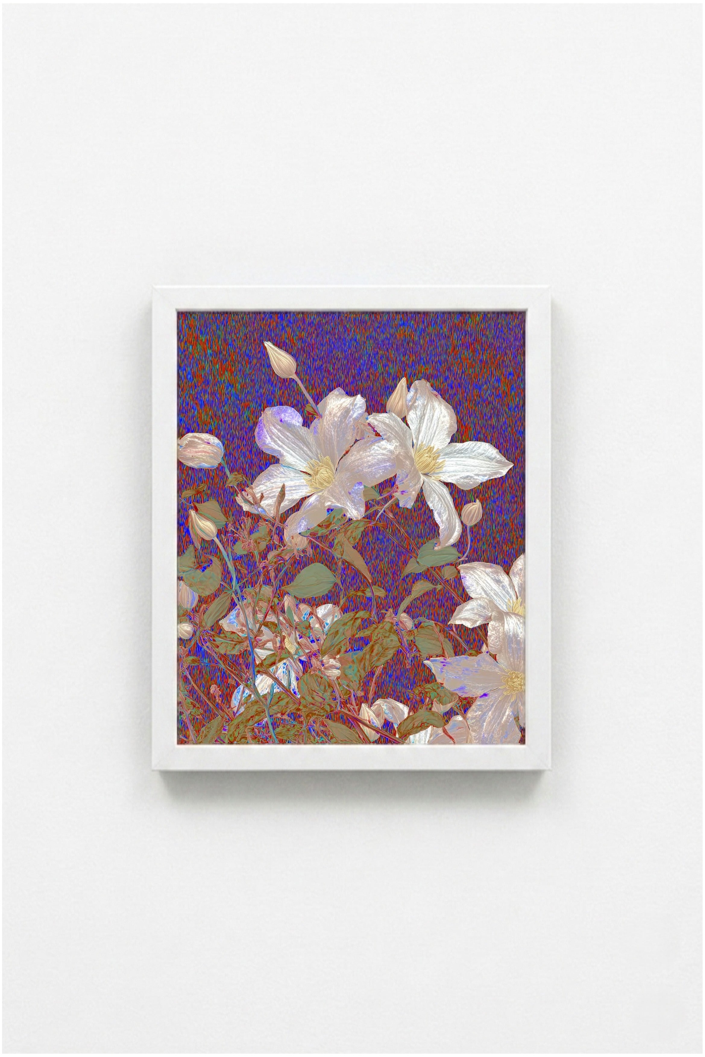 Mauve Bloom